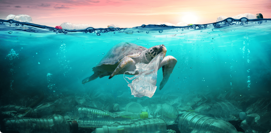 Contaminación del plástico en el océano